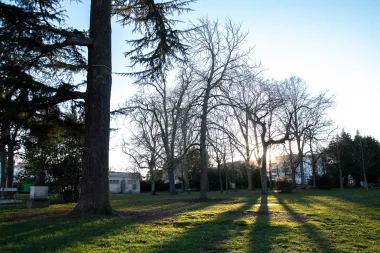 Parc du chateau de Peixotto de Talence (2).